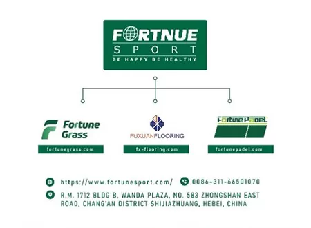 Descubra nuestro nuevo aspecto, crea un futuro deportivo más brillante